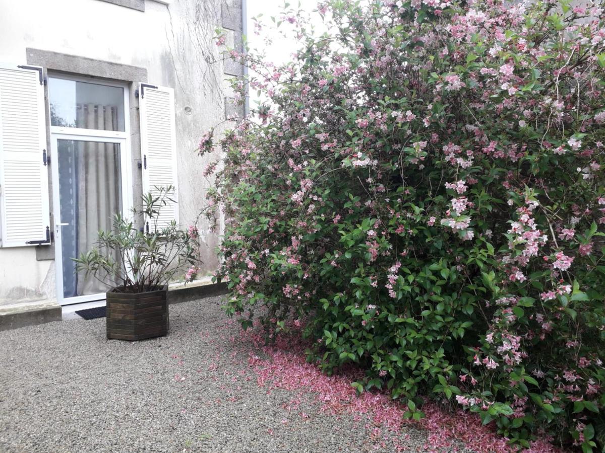"Cosy Trendy & Chic" - Stayhome Quimper Exteriör bild